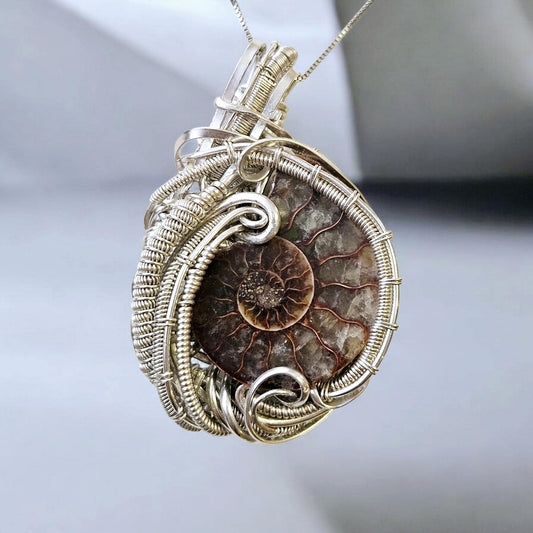 Silver Wrapped Ammonite